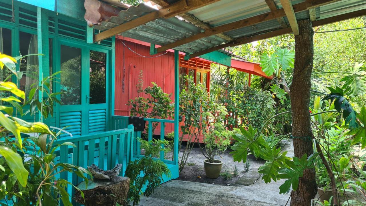 Gecko Guesthouse Pantai Cenang  Exteriér fotografie