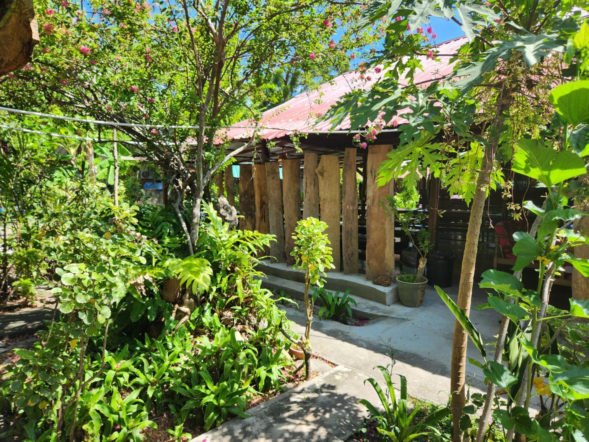 Gecko Guesthouse Pantai Cenang  Exteriér fotografie