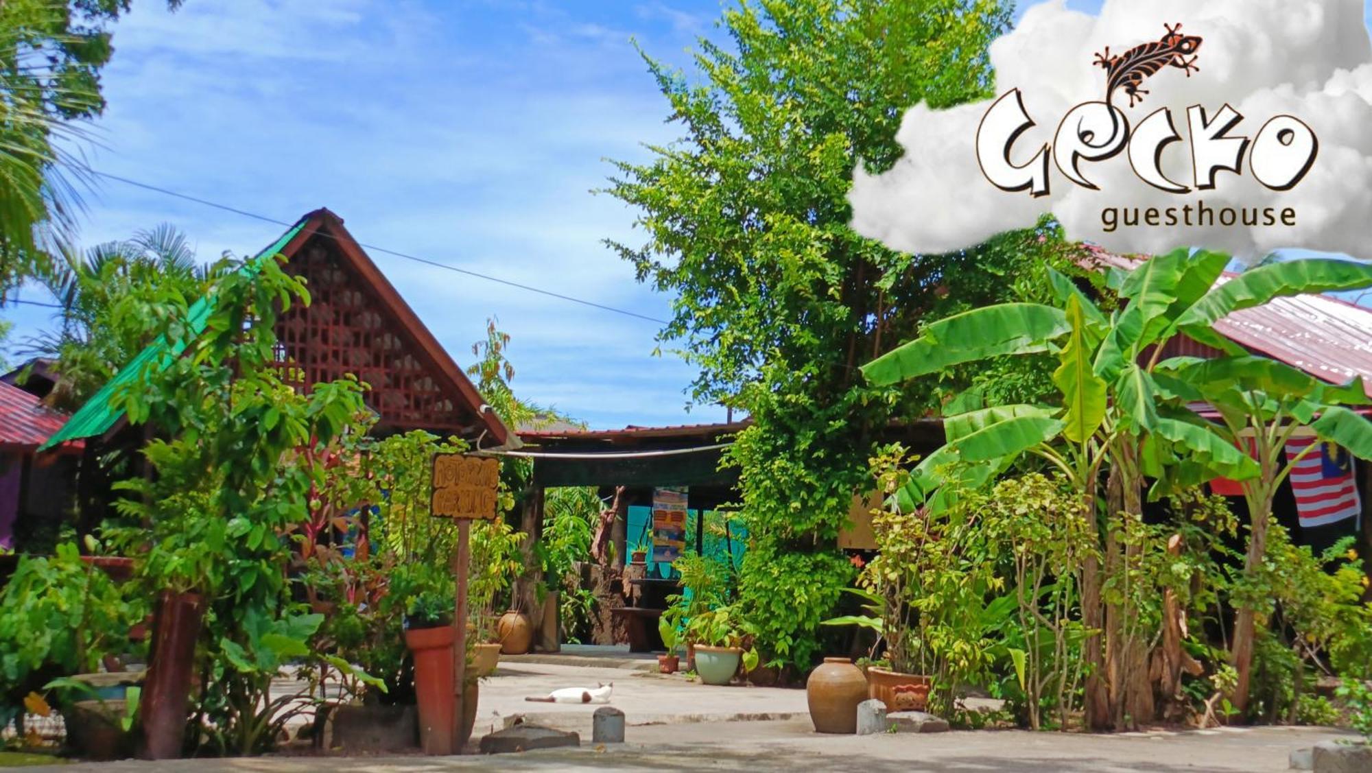 Gecko Guesthouse Pantai Cenang  Exteriér fotografie