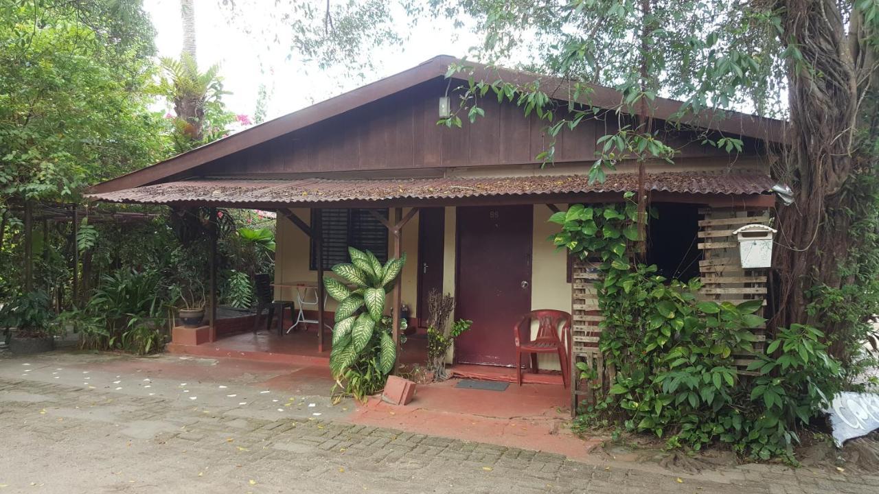 Gecko Guesthouse Pantai Cenang  Exteriér fotografie